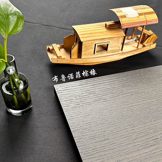 布鲁诺菲棕橡